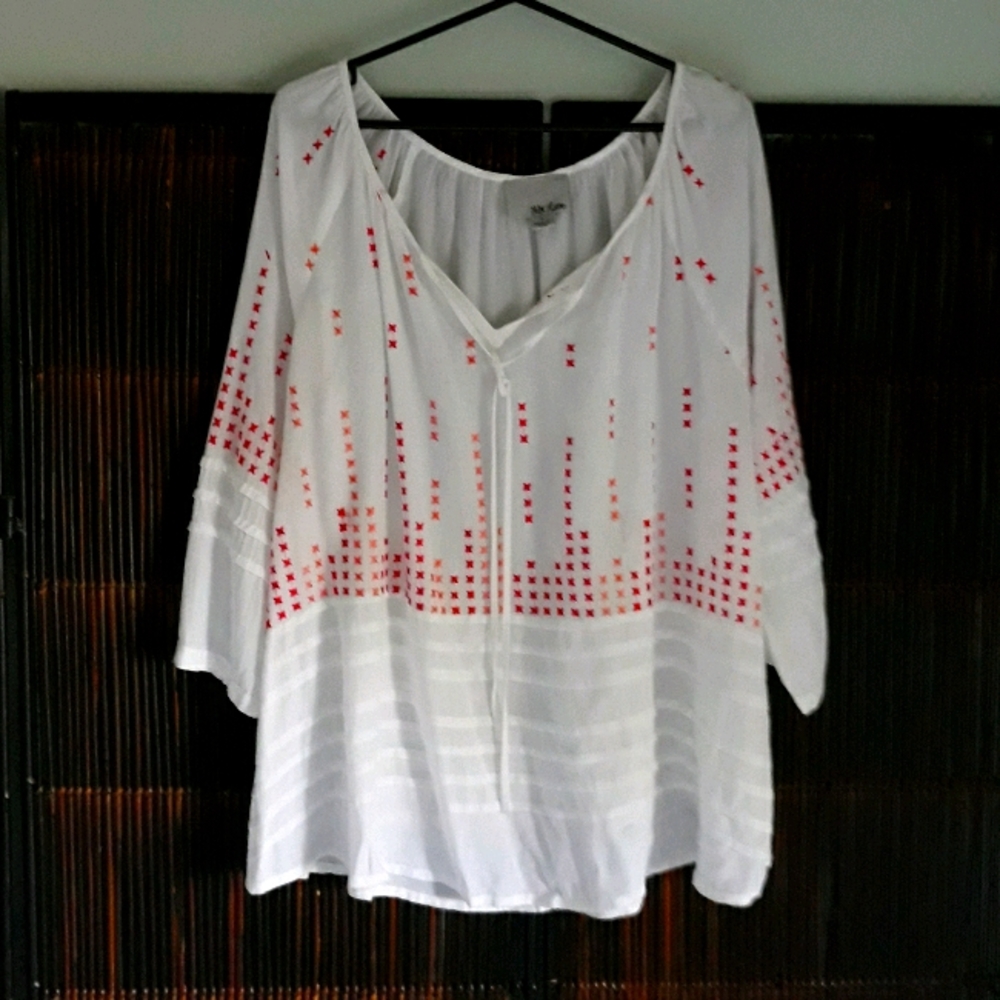 Beautiful embroidered top from Anthropologie